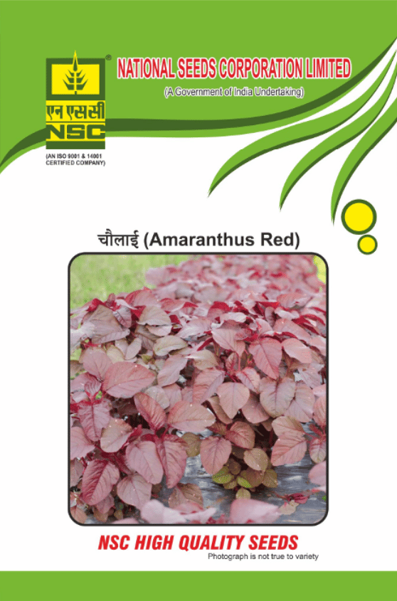 Crop: NSC Amaranthus, Variety: Arun Red 50gm