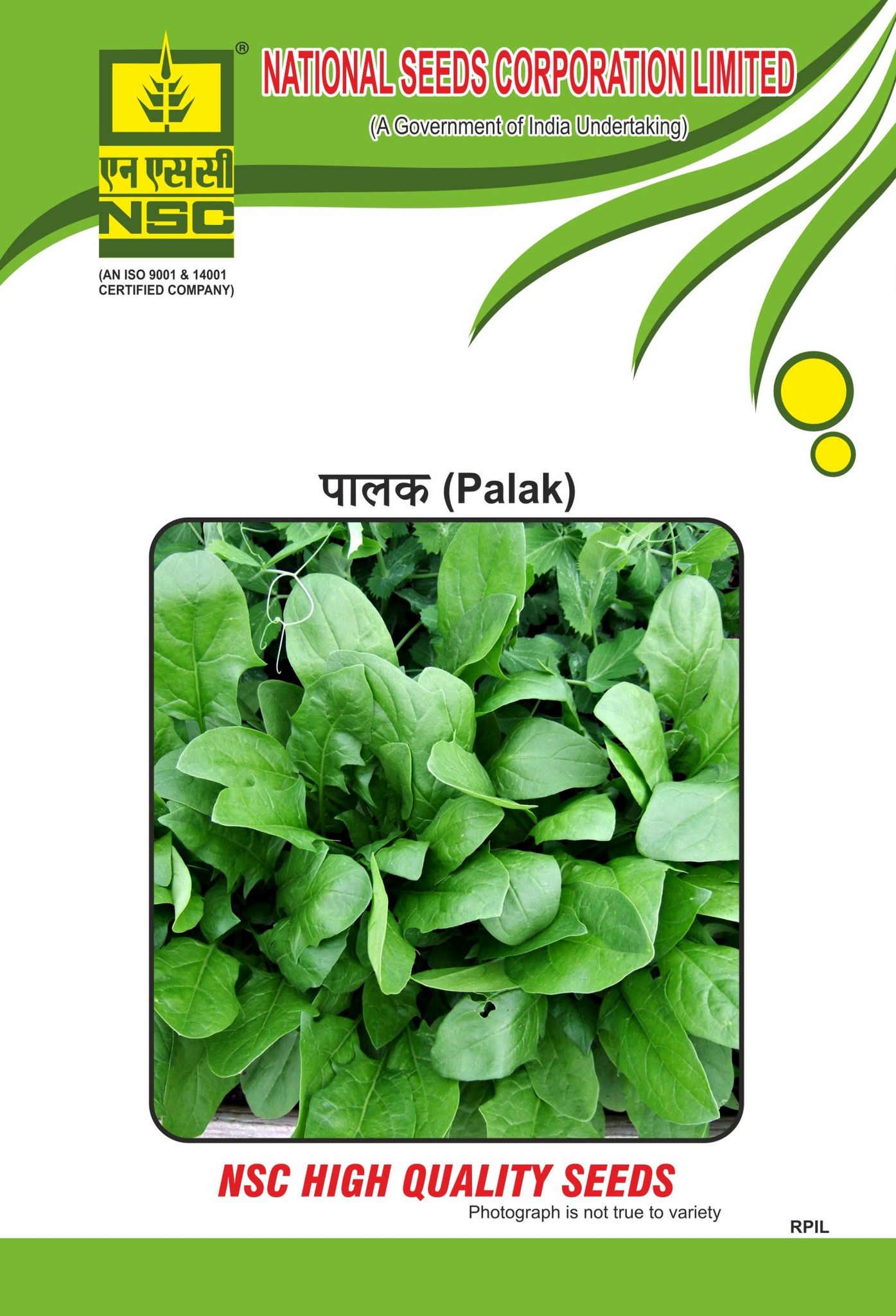 Crop: NSC Palak, Vareity: All Green 500gm