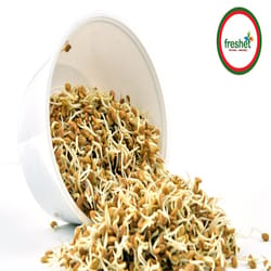 FENUGREEK SPROUTS 100 gms