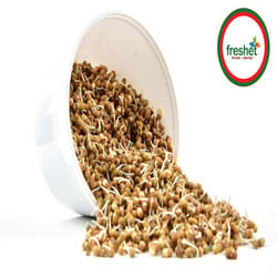 MOTH BEANS SPROUTS 125 GMS