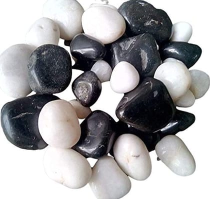 Color World Express Decorative Pebbles White+Black Mix Size of 20 Mm to 40 MM for Multi Purpose Use Pack of 1 Kg (3)