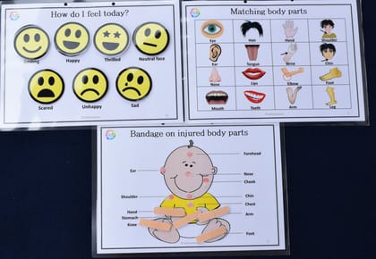 My Body & Feelings Worksheets  (Box)