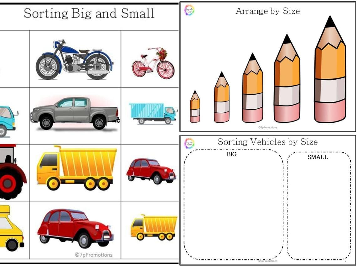 Size Sorting Worksheet (Box)