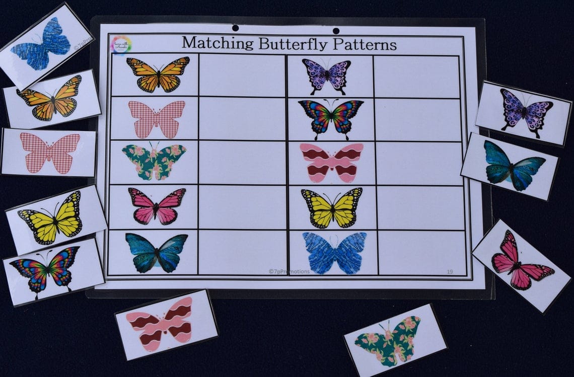 Butterfly Pattern Matching Worksheets  (Box)