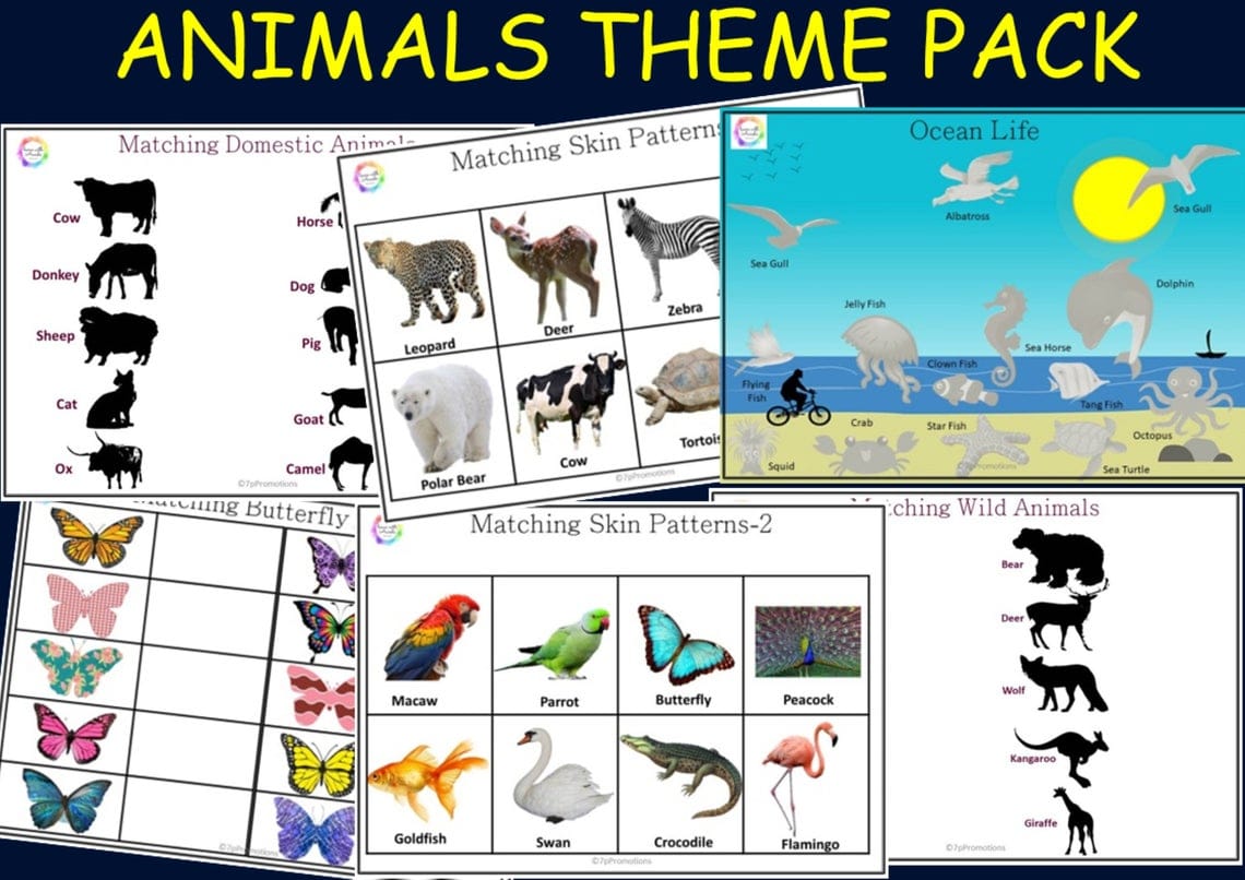 Animals Pack for Toddlers (Box)