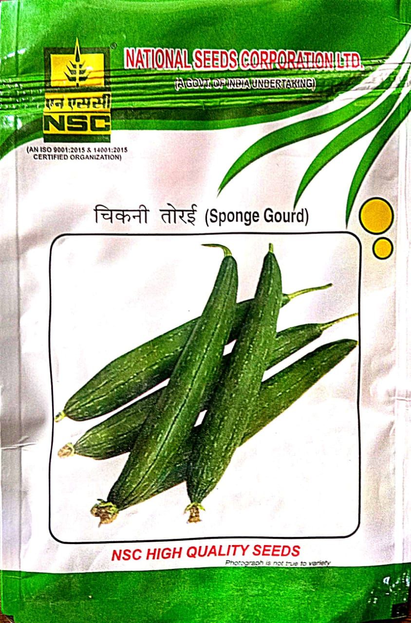 Sponge gourd