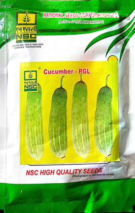 CUCUMBER SEED