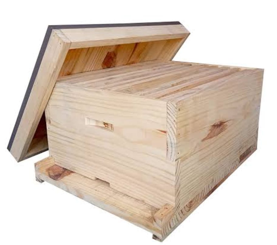 Bee Boxes-Apis Mellifera (1Box)