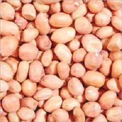 Groundnuts