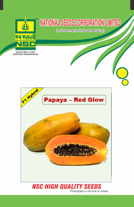 NSC Papaya , Variety : NSC Red Glow 1gm