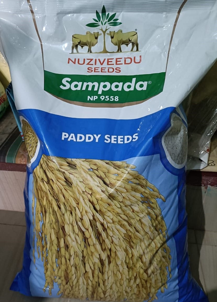 SAMPADA PADDY SEEDS