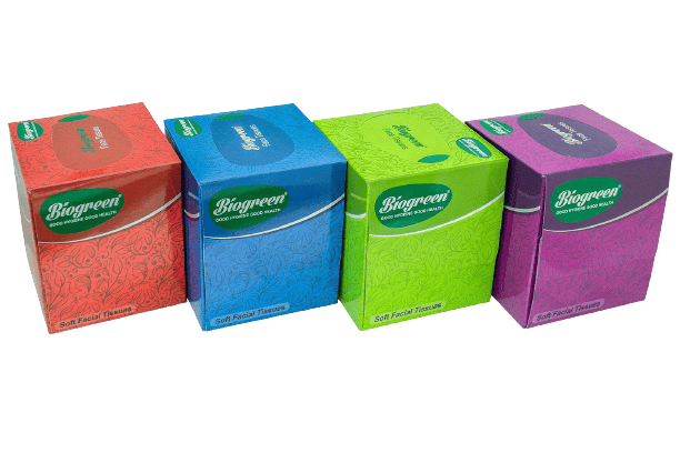 Biogreen Soft Facial/Face Tissues, 2 Ply 80 Pulls Each Box - Pack of 4 | Square Box facial tissue | Cube Facial Tissue Box For Car Glove Box Access, Home, Shop