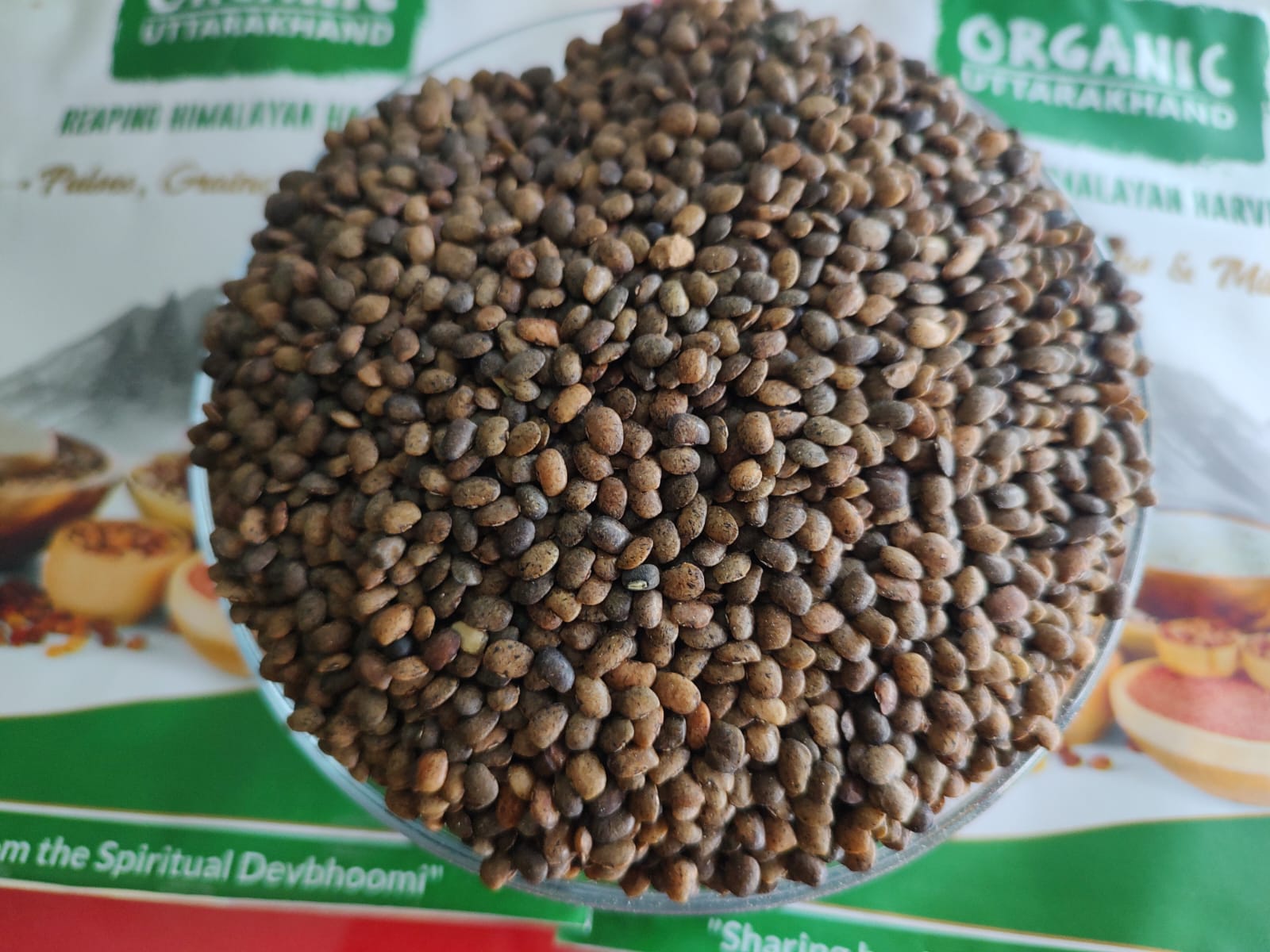 Burash natural Gahat Dal / Kulthi / Horse Gram is 100% Pure and Natural, harvested from Uttarakhand.