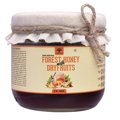 Vanalaya Forest Honey Soaked Dry Fruits 400gm
