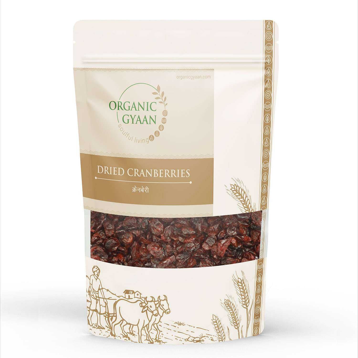 Organic Gyaan Dried Cranberries 250g