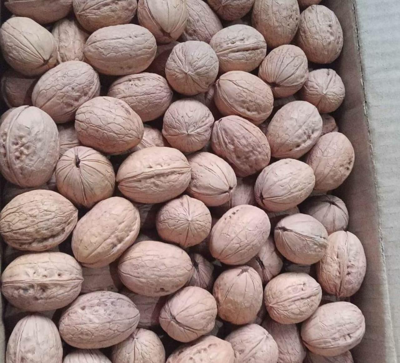 KASHMIRI ONE TREE WALNUT 1000 gm