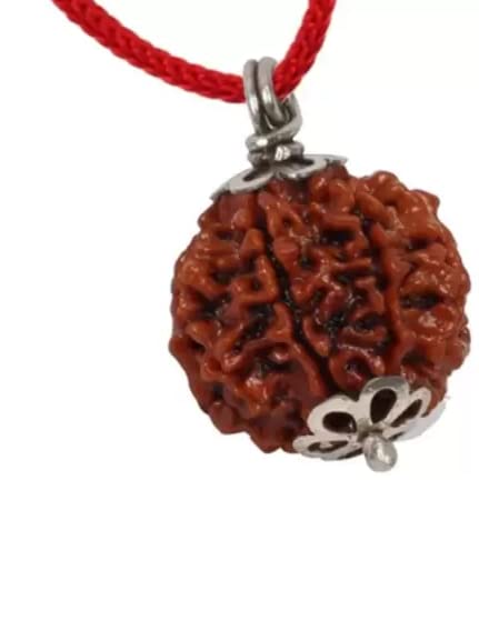 ShivTantra Four mukhi Rudraksha Original Certified, Quality Pure Char Mukhi Ruthratcham 4 Face Chaturmukhi Rudraksha Pendant Chaarmukhee Rudraksh Rare