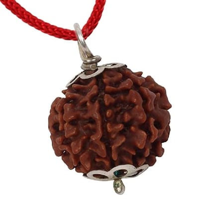 ShivTantra 6  Mukhi Pure Rudraksha, Laboratory Certified