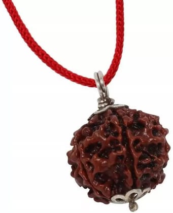 ShivTantra 7 Mukhi Rudraksha Original Certified With Silver Capping