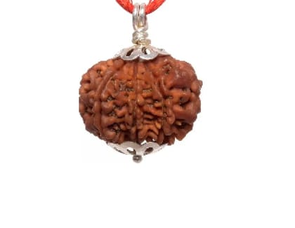 ShivTantar 8 mukhi Rudraksha Silver Pendant | Natural & Certified