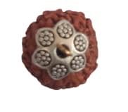 ShivTantar Ten mukhi Rudraksha