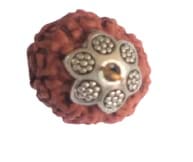 ShivTantar Nine mukhi Rudraksha