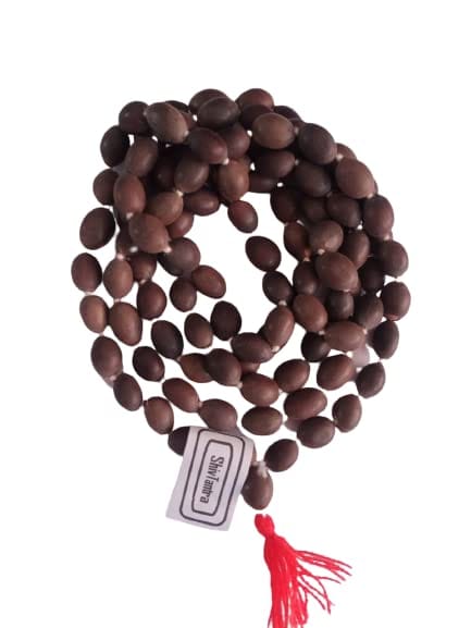 ShivTantra Kamalgatta Mala 1 Piece