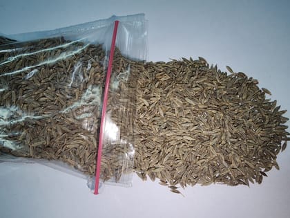 Cumin seeds (Jeera)