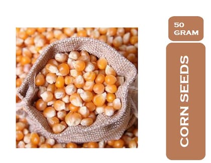 Organic Corn seeds 50 grams