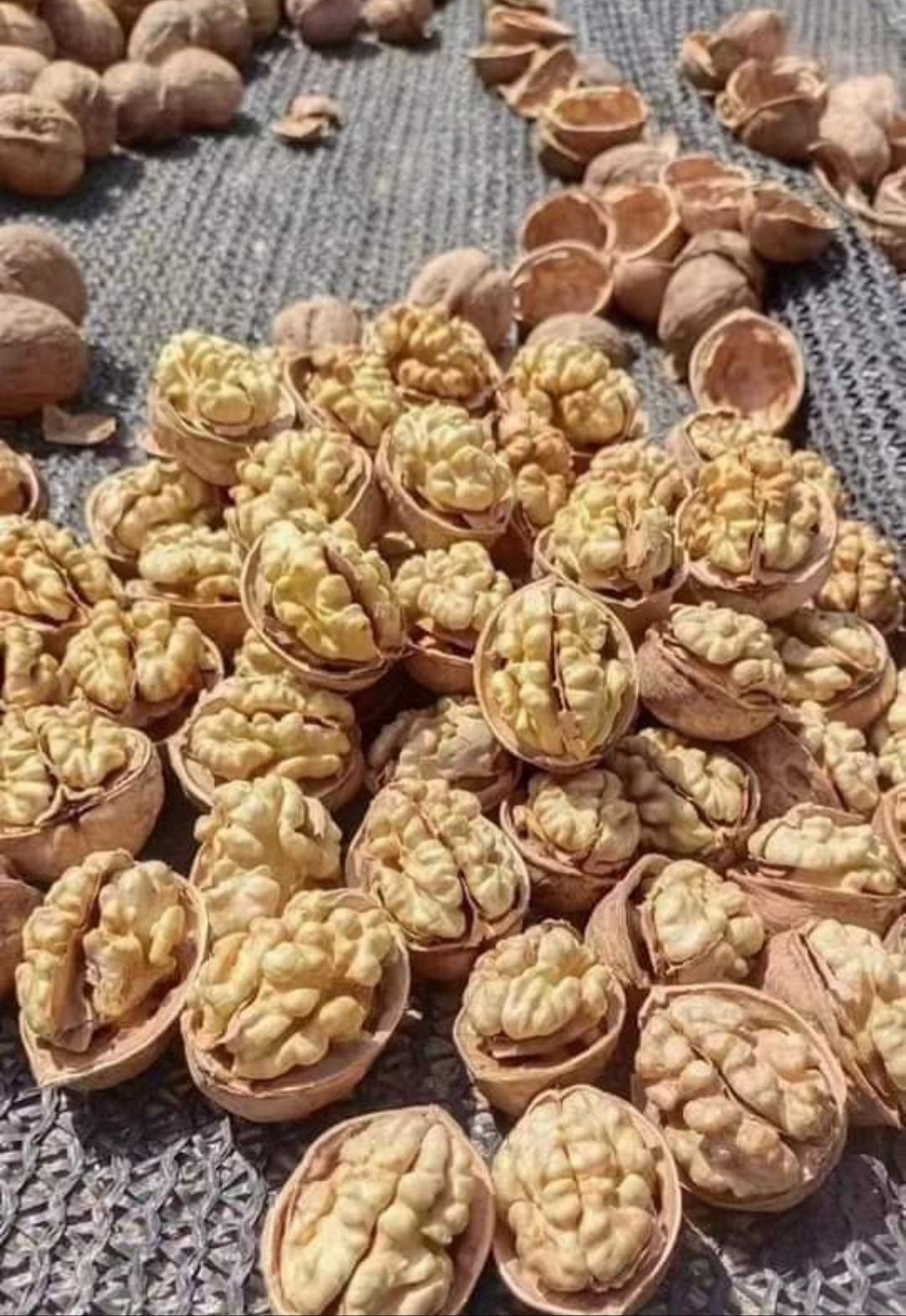 Organic Kashmiri Walnut Kernal 250g