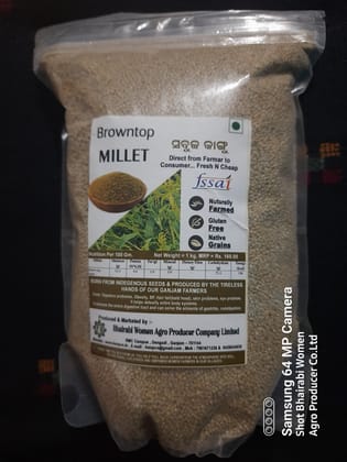 Brown Top Millet ( Unpolished grains )