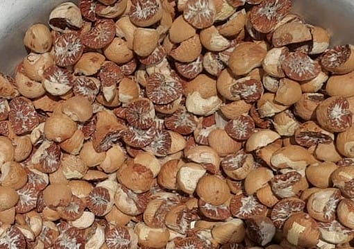 Betel Nut/Areca nut (Supari)