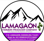LAMAGAON FARMERS PRODUCER COMPANY LIMITED