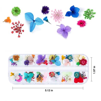 VTC ENTERPRISE 12 Patterns 3D Dry Flowers Stickers Real Dried Flower Nail Art Decoration Tips Diy Manicure Tools Multicolor