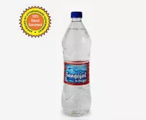 Pack of 1 Ltr Holy Gangajal Water