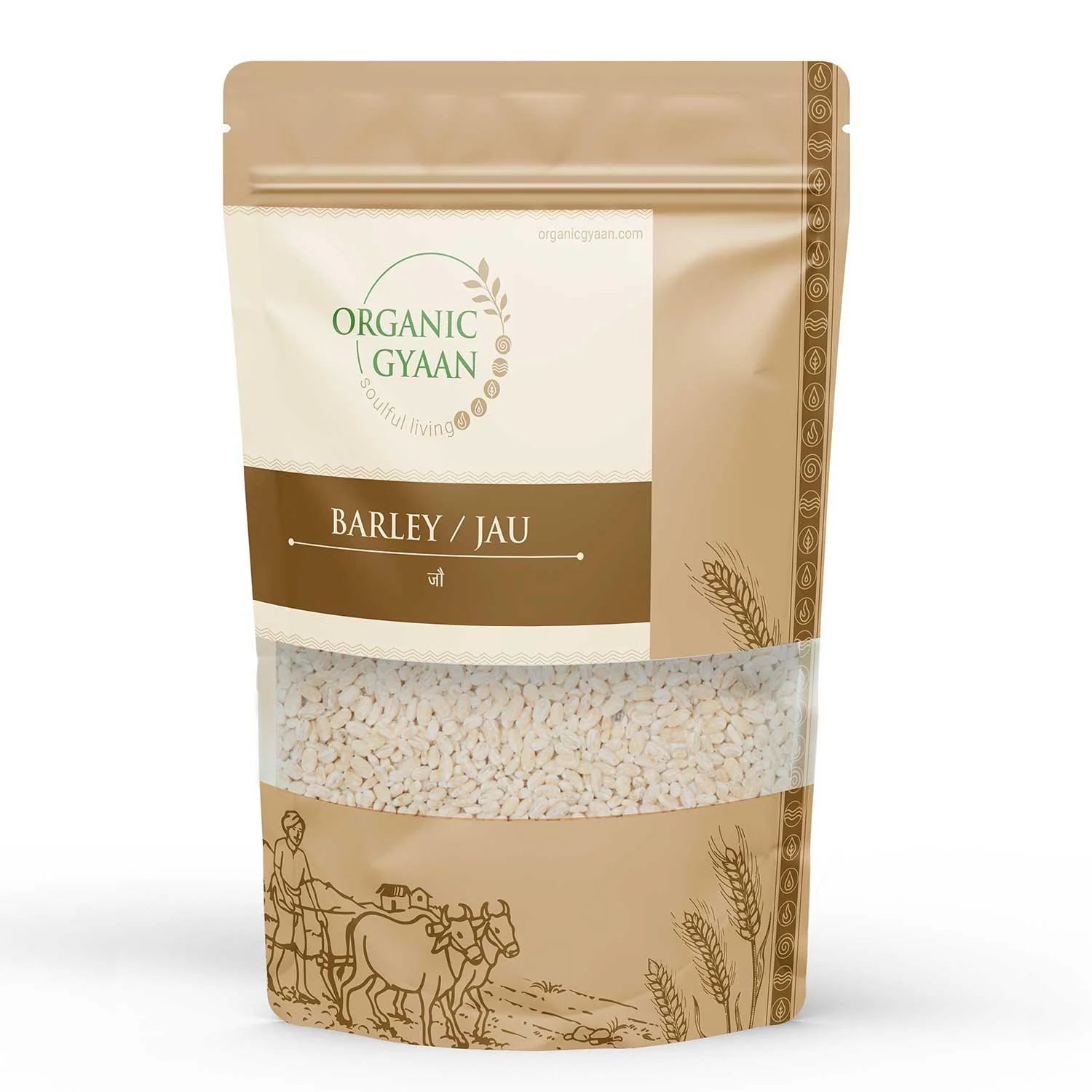 Organic Gyaan Organic Barley / Jau 900gm