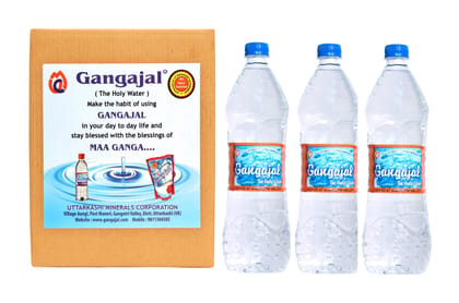 Holy Gangajal Water ( Pack of 3 Bottles in 1 Ltr )
