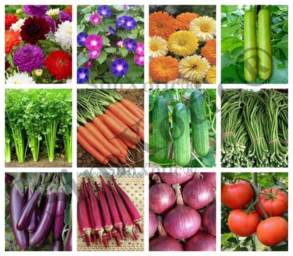 SimXotic Seeds Combo – Flowers & Vegetables Seeds Kit F9.9 (Organic)