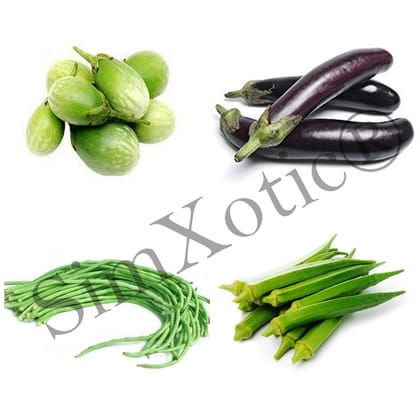 SimXotic Seeds Combo – Green Eggplant Brinjal|Brinjal Violet Long|Lobia Cowpea|Okra (Organic) F9.12