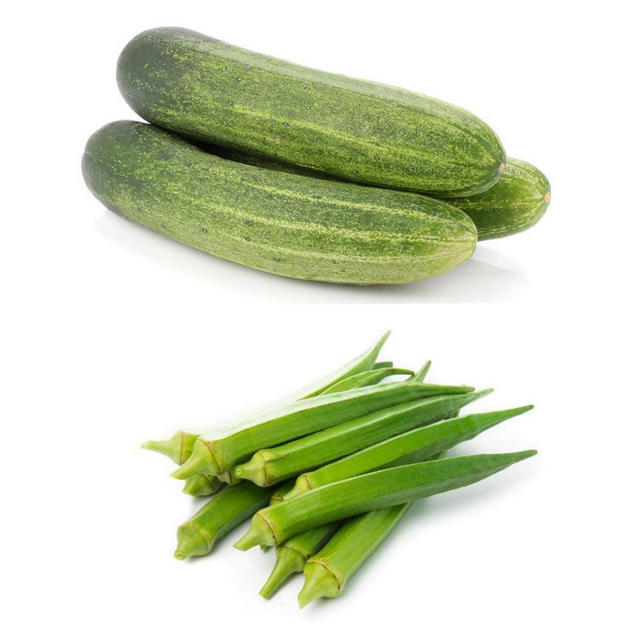 SimXotic Combo Seeds - Cucumber, Okra Green (Organic)