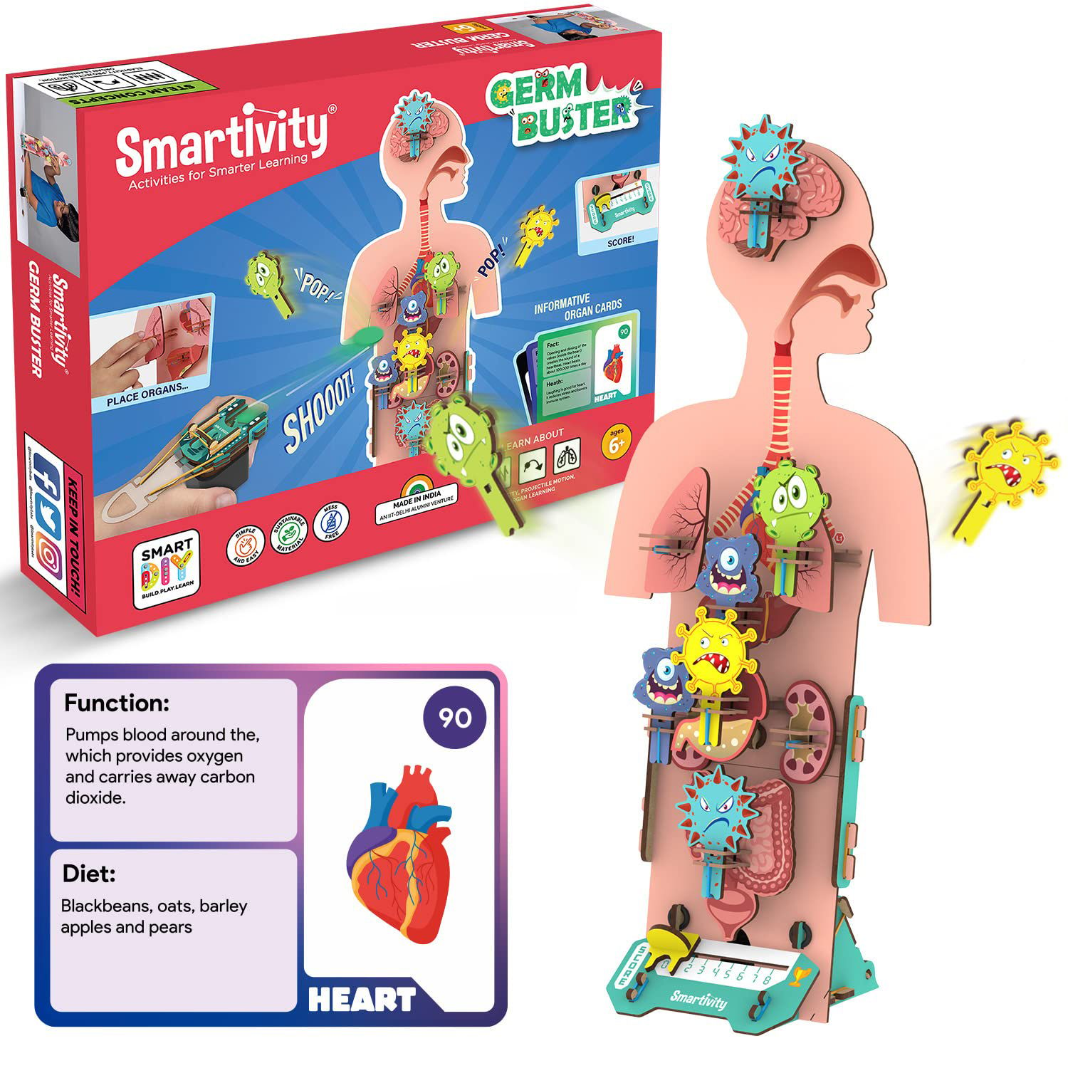 Smartivity Human Body Stem Diy Fun Toys For Kids 6 To 12|20 Cards Learn  About Organs|Functions|Health & Diet|Best Gift Toy For Boys & Girls Age  6-8-10-12|Science Toy|Educational Based Activity Game