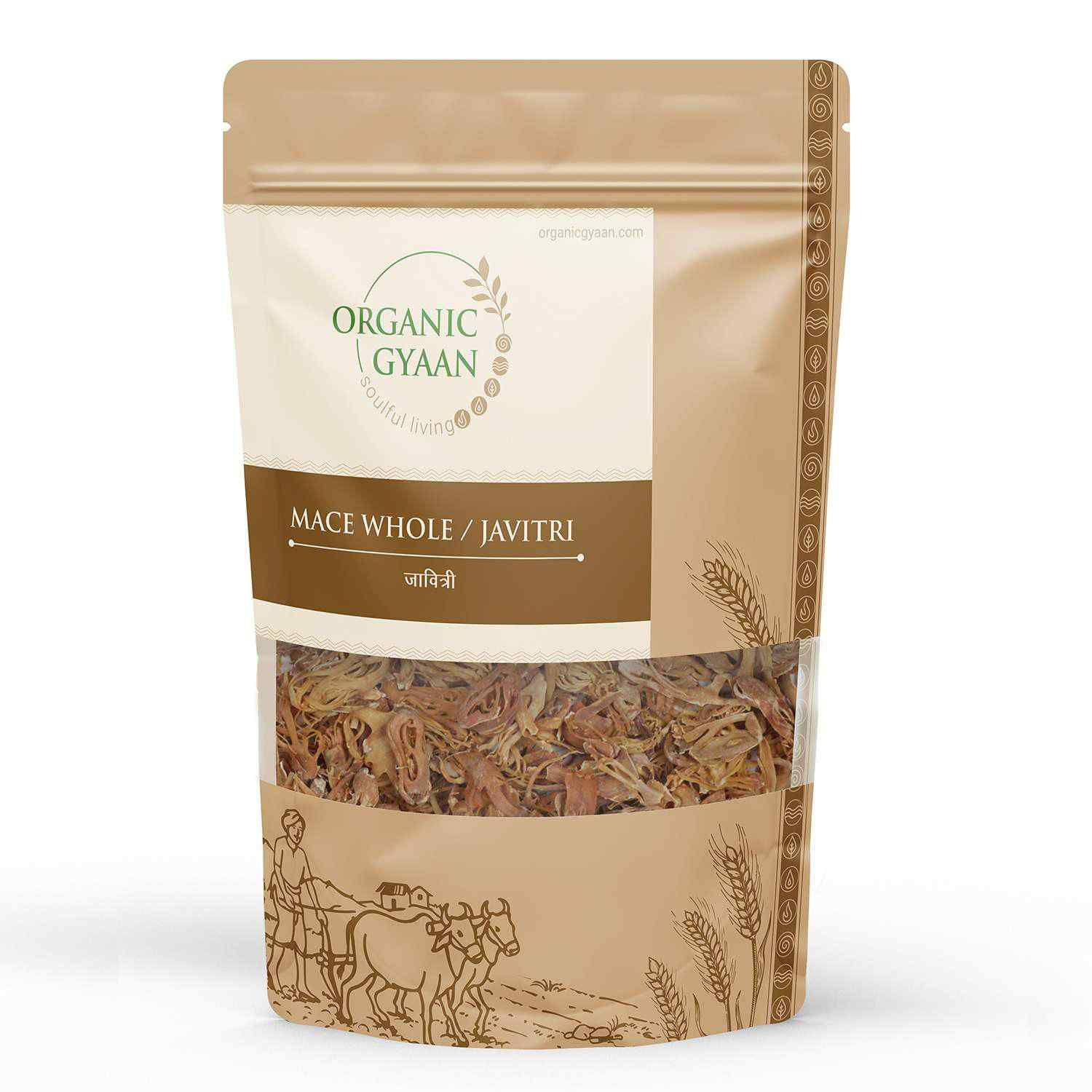 Organic Gyaan Organic Mace Whole / Javitri 100gm