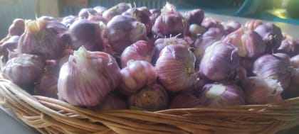 Kashmiri Lehsun (Garlic ) 1kg