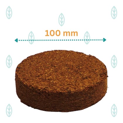 Cocopeat Discs for Sapling Transfer | 100 mm - 10 Discs