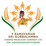 Y Ramavaram Sri Gubbalamma Farmer Producer Company Limited