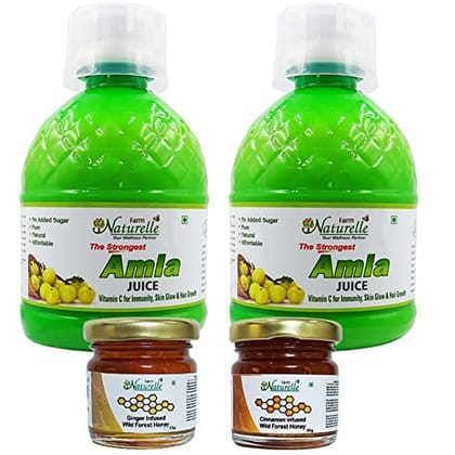 Farm Naturelle-Strong Amla Juice -The Finest 400Ml ( Pack of 2) Herbal Amla Juice and Honey 55g x 2