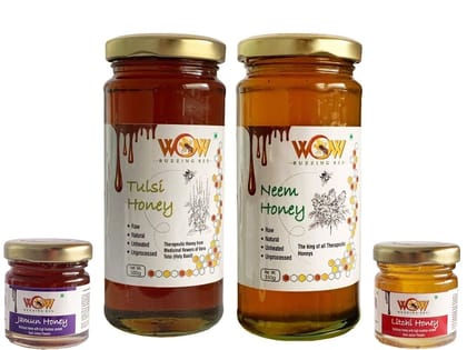 WOW BUZZING BEE Raw Honey, Pack of 4 (2 - 350 GR and 2 - 55 GR) Tulsi Honey and Neem Honey.