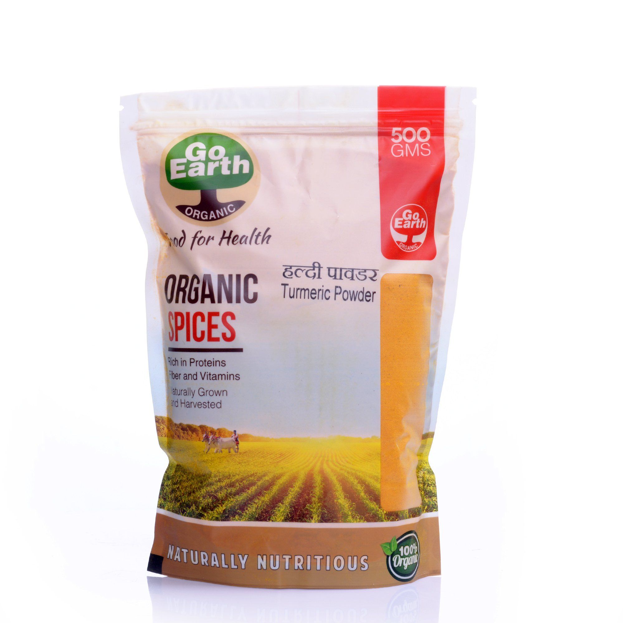 Go Earth Organic Haldi Powder (500 gm)