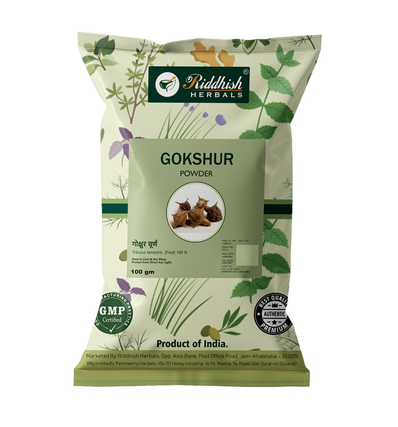 Riddhish Herbals Guduchi Powder (100 gm Each) - combo pack (3)