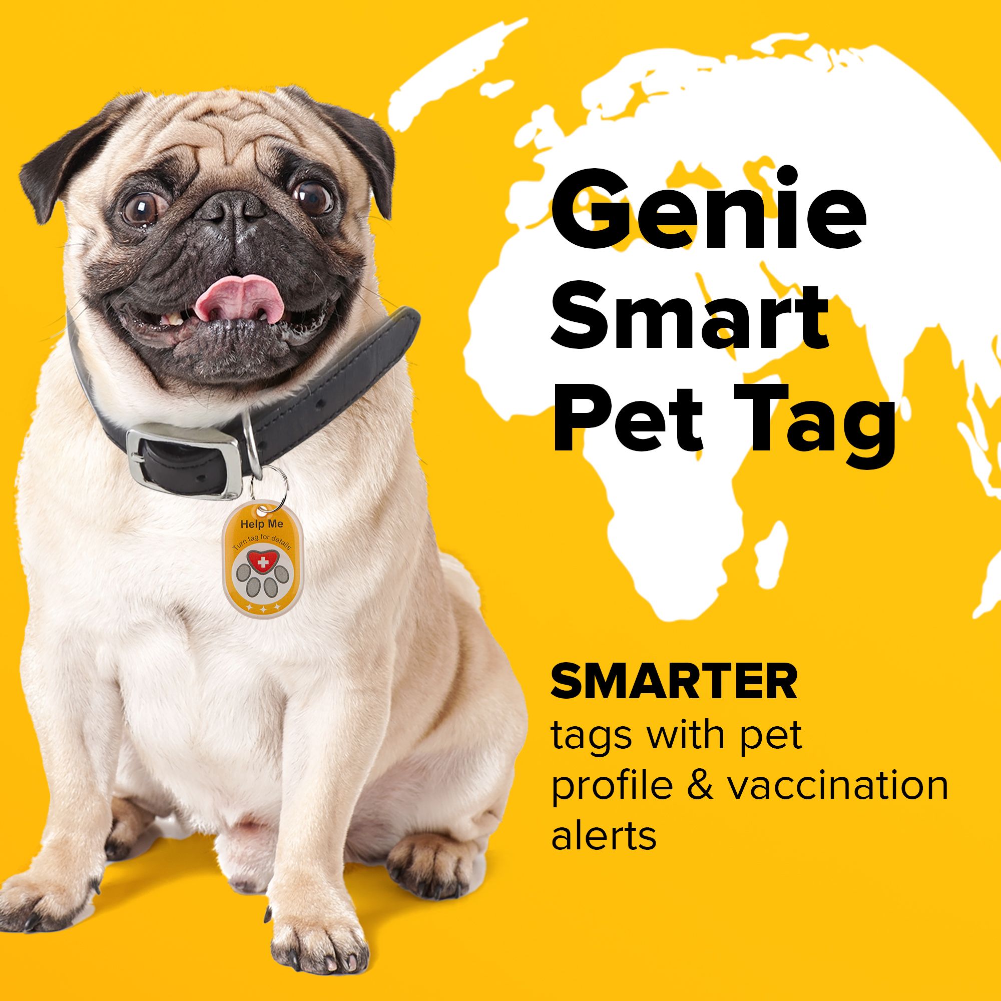 Smart store pet tags